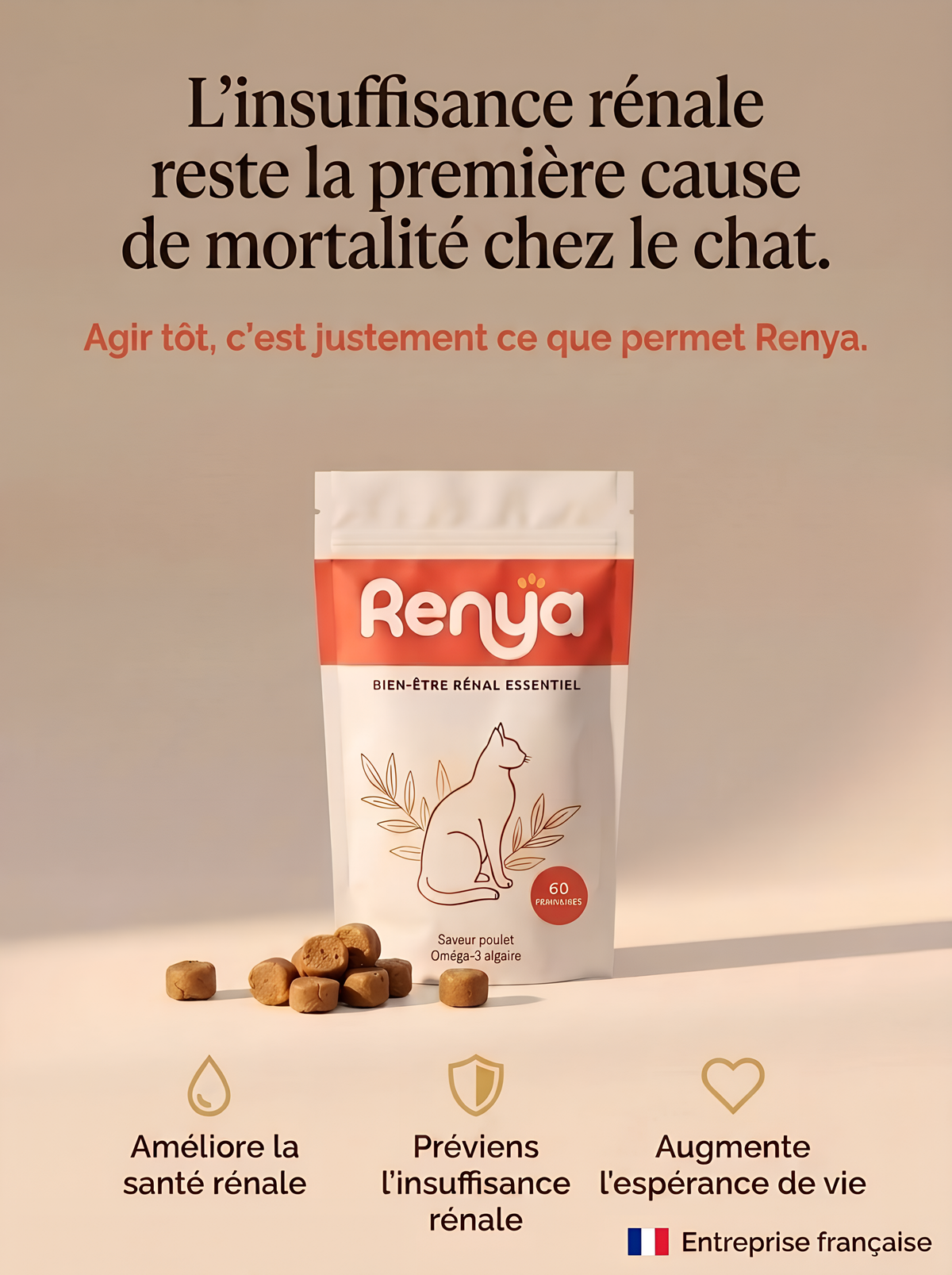 Passez plus d'années avec votre chat en augmentant son espérance de vie.