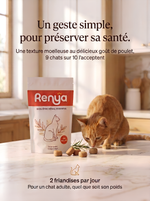 Passez plus d'années avec votre chat en augmentant son espérance de vie.