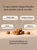 Passez plus d'années avec votre chat en augmentant son espérance de vie.