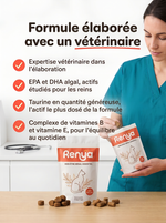 Passez plus d'années avec votre chat en augmentant son espérance de vie.