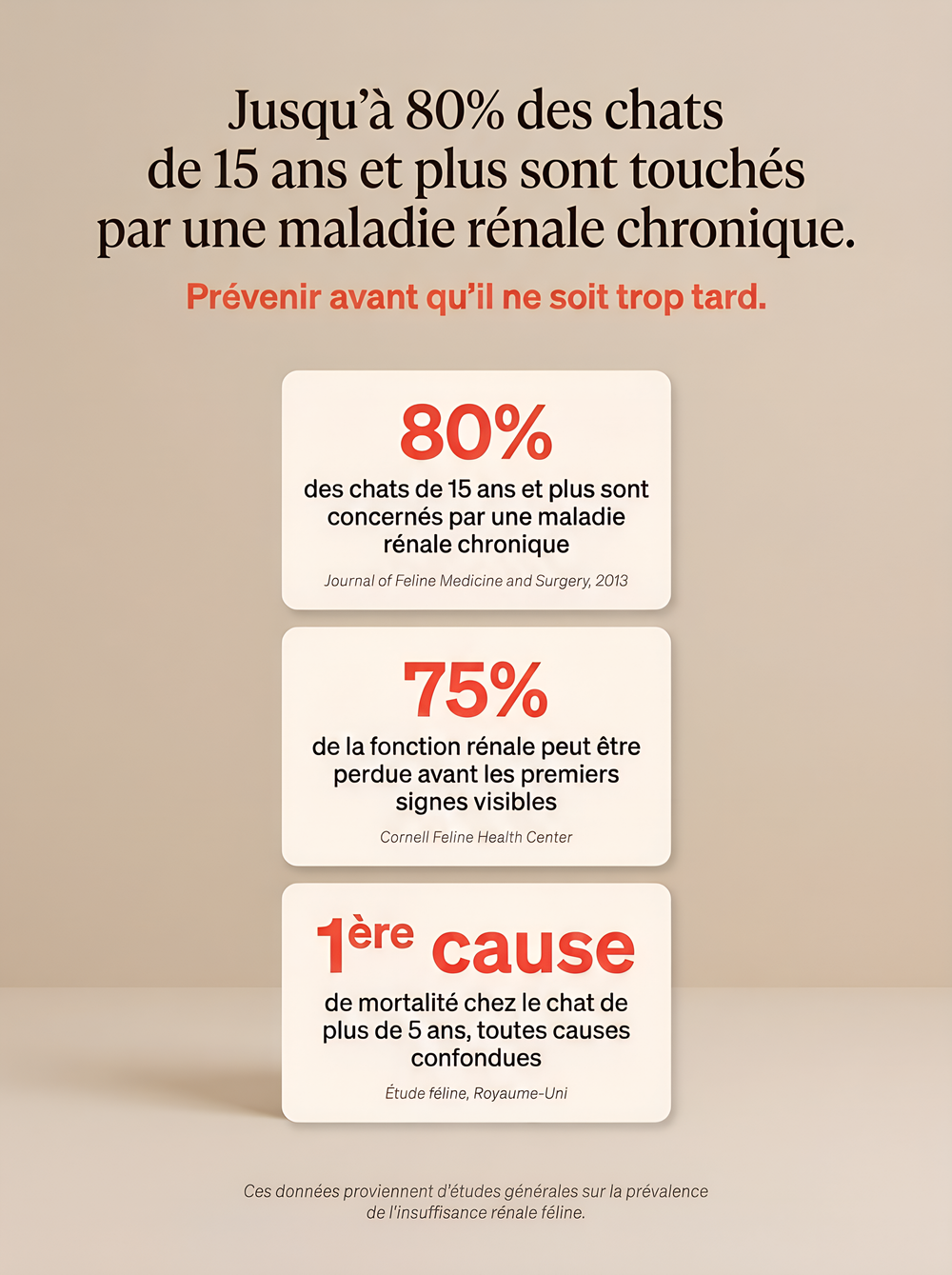 Passez plus d'années avec votre chat en augmentant son espérance de vie.