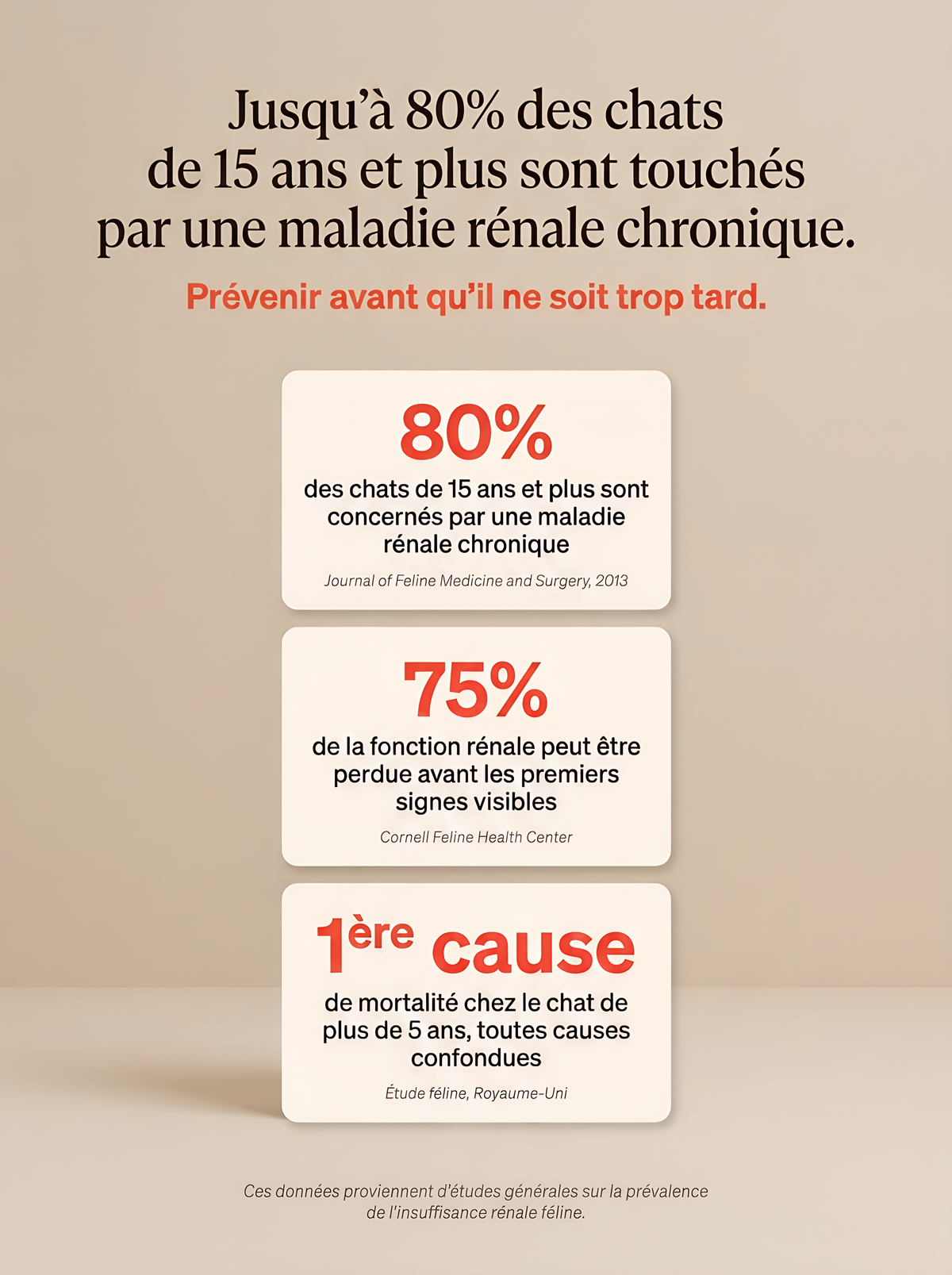 Passez plus d'années avec votre chat en augmentant son espérance de vie.