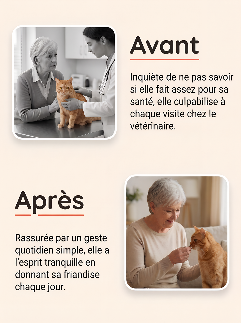 Passez plus d'années avec votre chat en augmentant son espérance de vie.