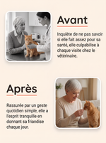 Passez plus d'années avec votre chat en augmentant son espérance de vie.